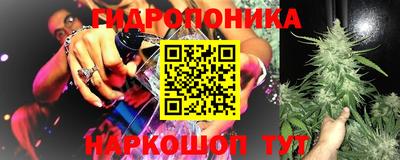 стаф Чебоксары