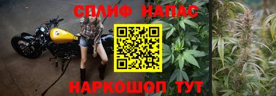 стаф Чебоксары