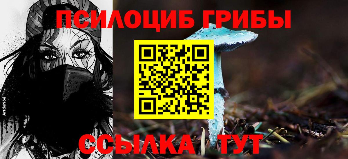 Майкоп  Псилоцибиновые грибы мухоморы  Псилоцибиновые грибы GOLDEN TEACHER  наркошоп  Вход с VPN 